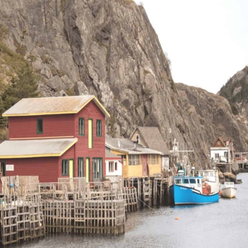 houses lined against water in newfoundland