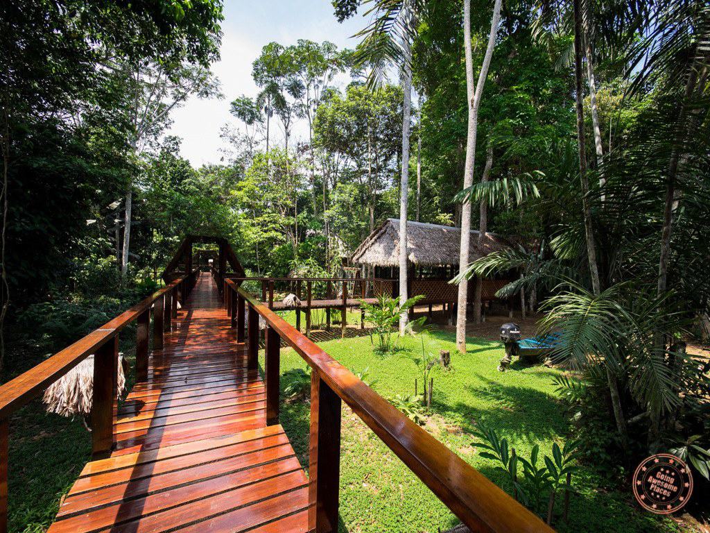 Wooden Walkways of Refugio Amazonas in the Peruvian Amazon
