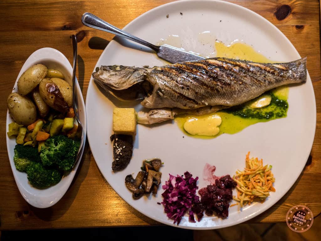 Out of the Blue Seafood in Dingle Ireland