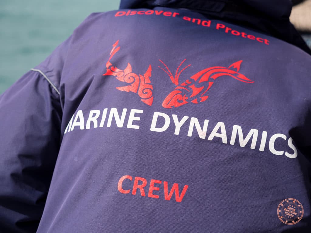 The awesome crew of Marine Dynamics