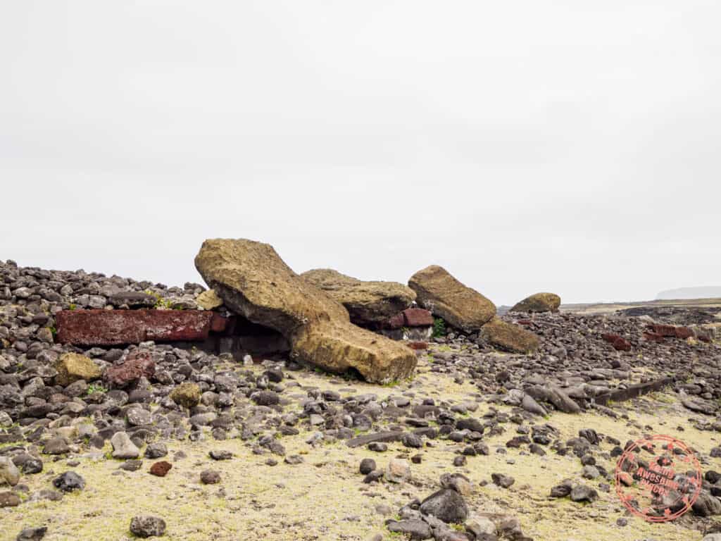 fallen moai in situ at ahu akahanga in rapa nui national park