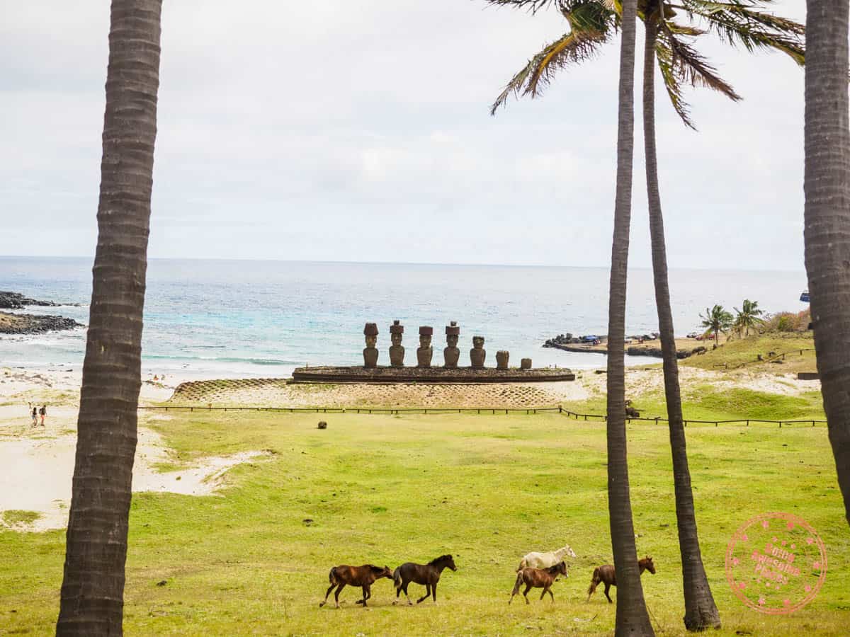 ahu nau nau moai at anakena beach on easter island