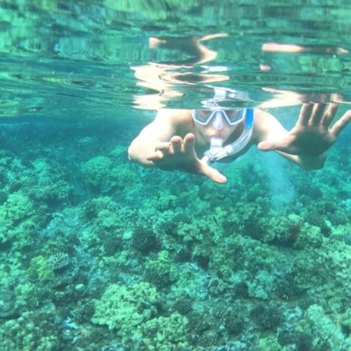 best snorkeling in maui featured