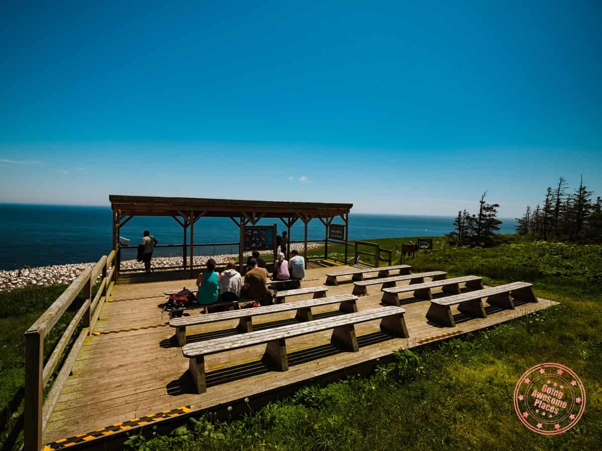 birding area with benches on bonaventure island