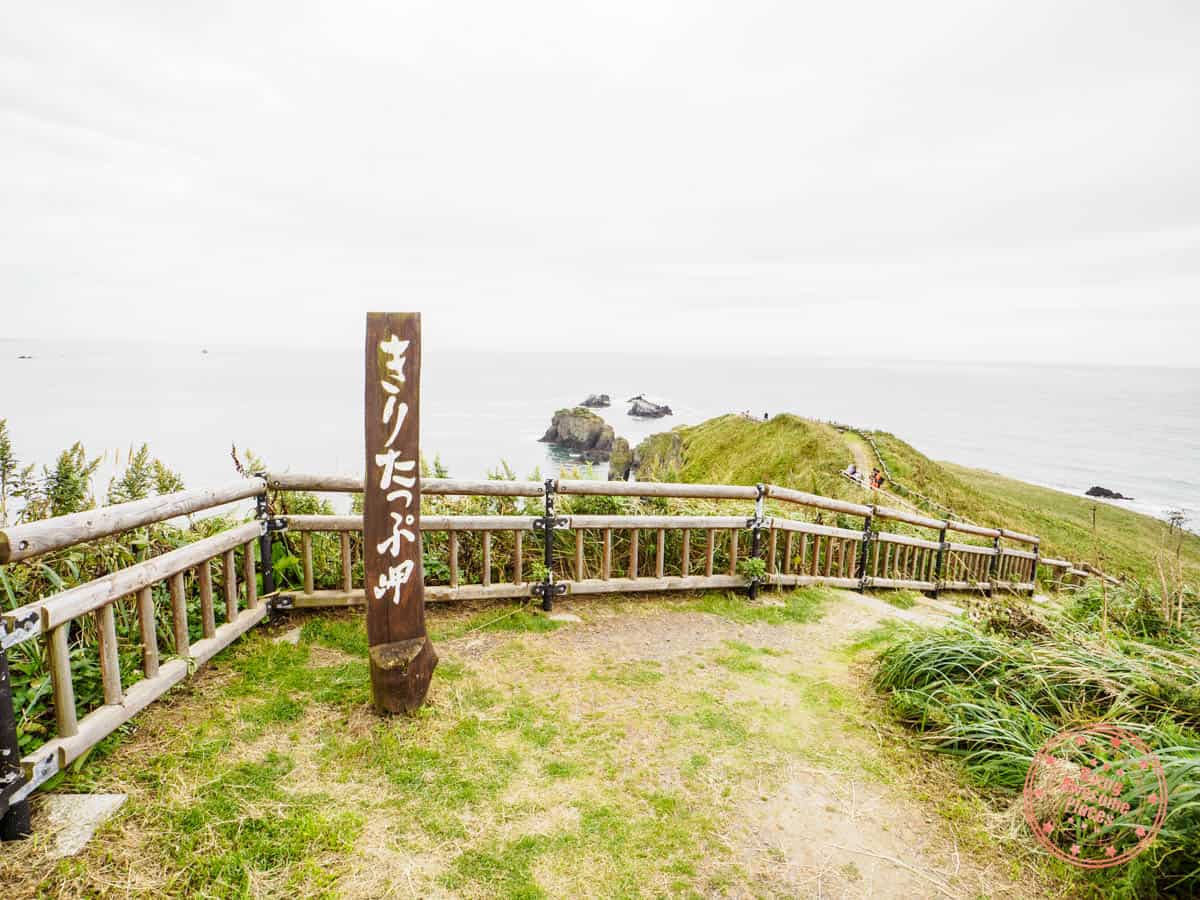 cape kiritappu walking trail view