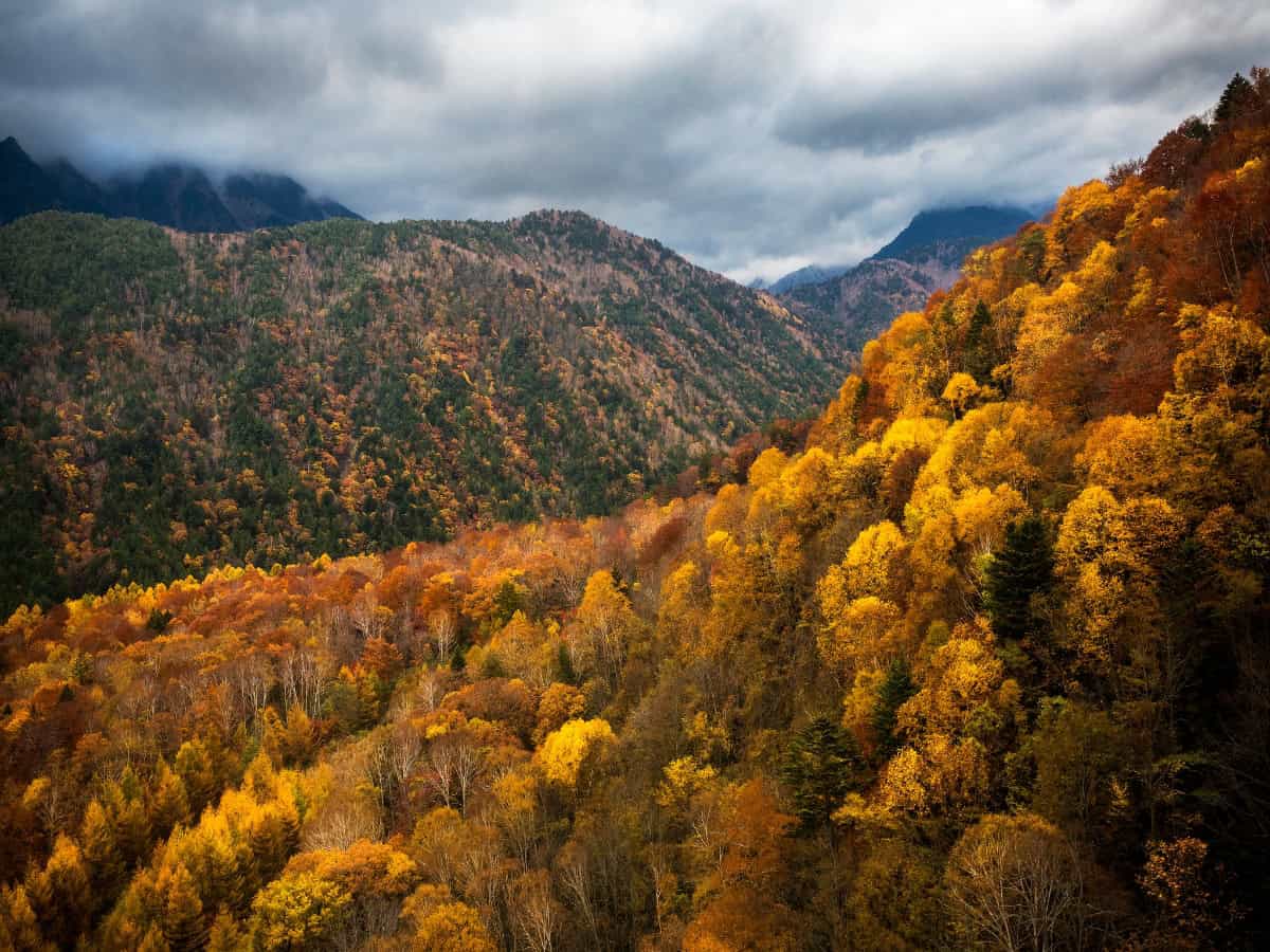 stunning autumn foliage amongst mountains in the chubu sangaku national park