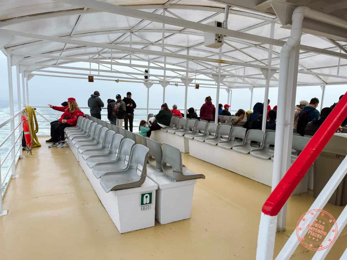 croisiers aml whale watching in tadoussac rear lower deck