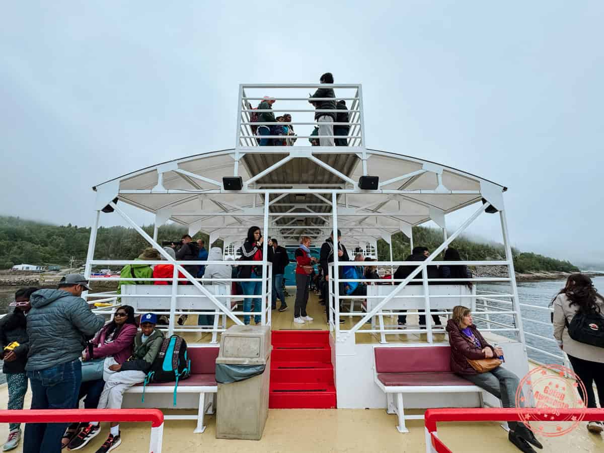 croisiers aml whale watching in tadoussac rear main deck