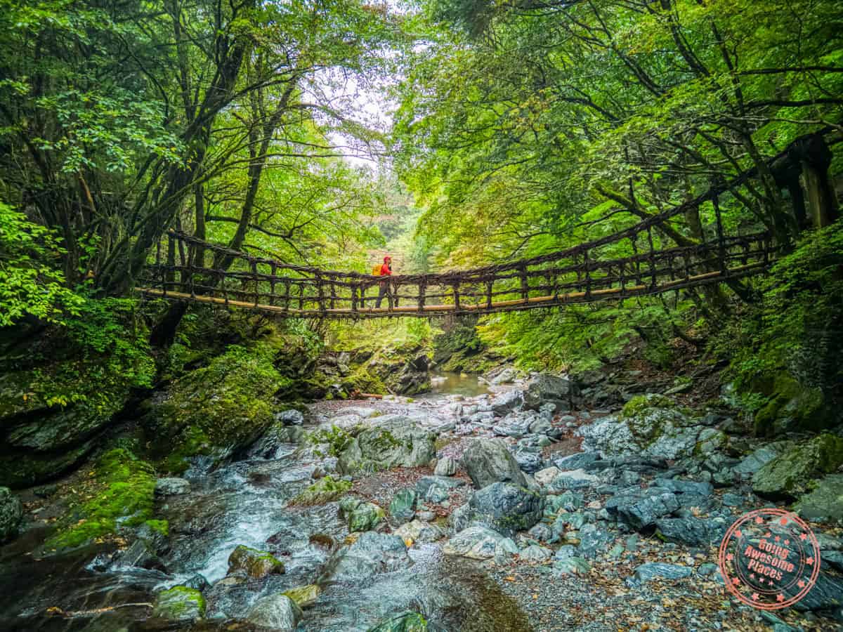 crossing the oku iya niju kazurabashi double vine bridge