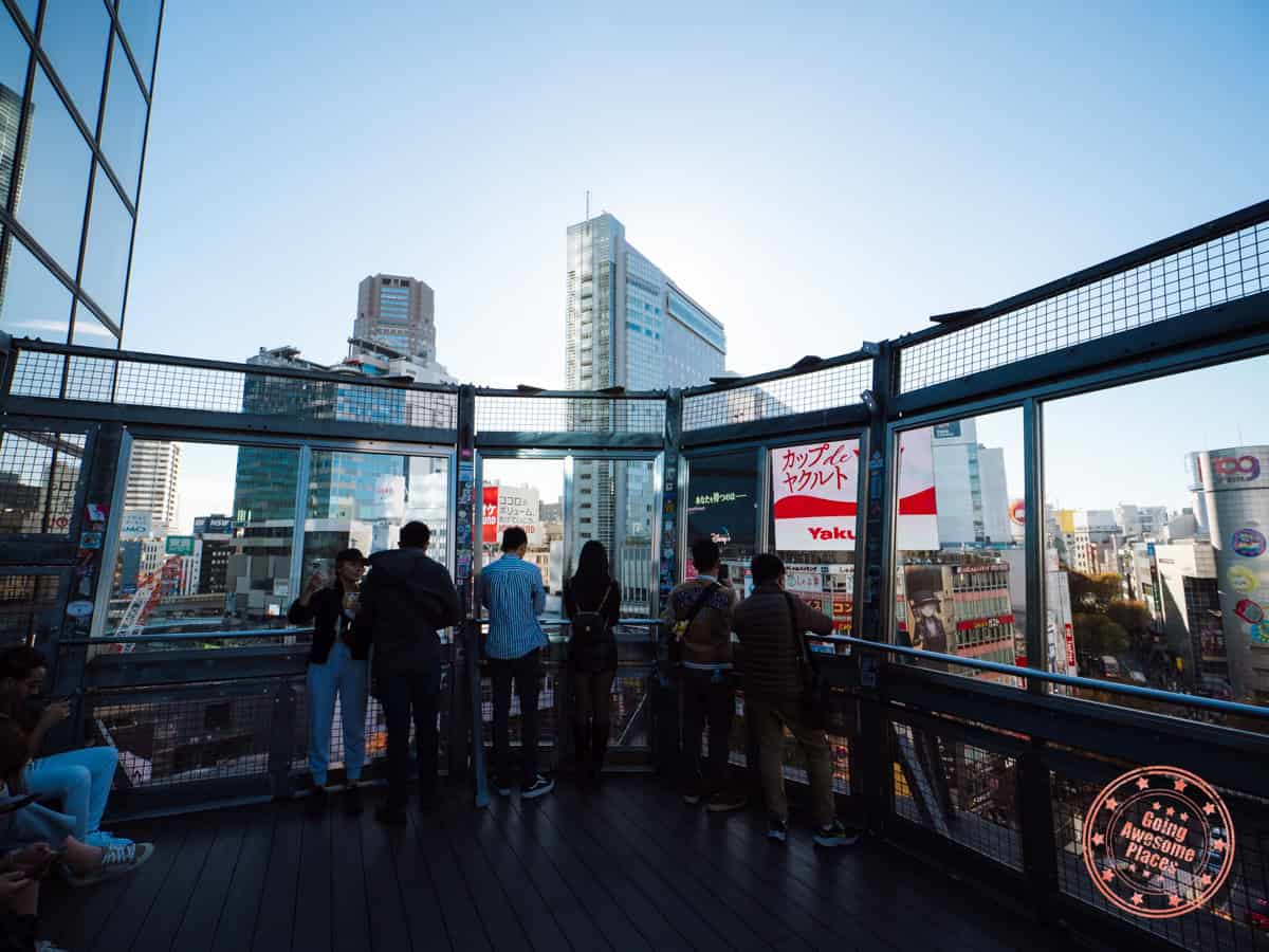 crossing view rooftop lounge in mag8 building observation deck