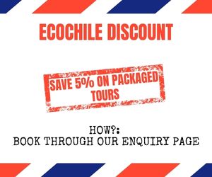 ecochile deal 5% off discount code and promo code