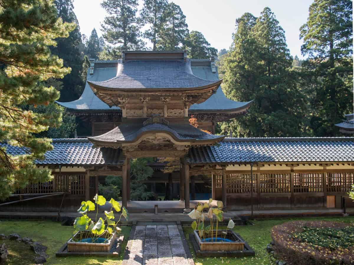 eiheiji temple surrounded by lush greenery