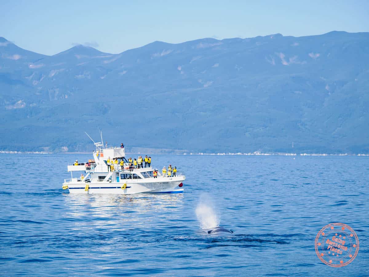 far east hokkaido itinerary with whale watching cruise from rausu