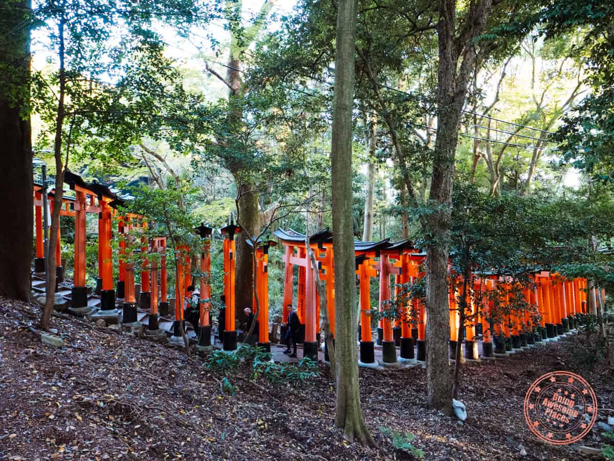 fushimi inari path of stacked torii gates