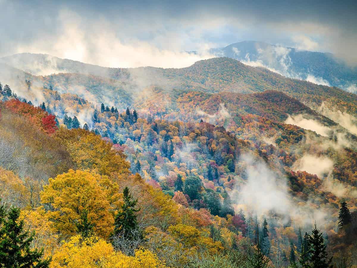 fogy blanket over fall-colored trees at great smoky mountains national park