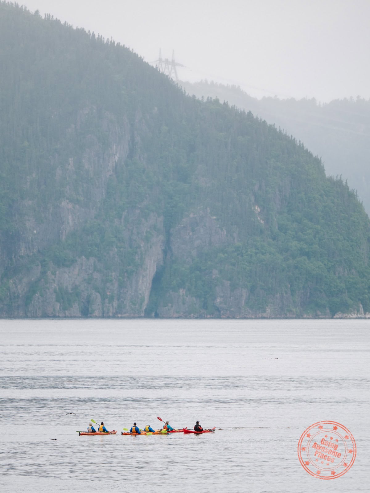 group of sea kayakers in the saguenay fjord
