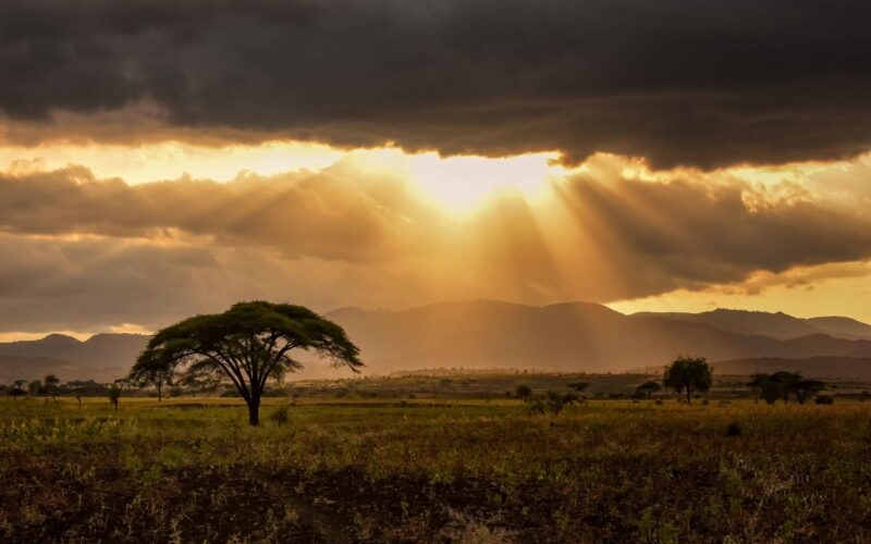 sun shining through clouds down on tree in omo valley