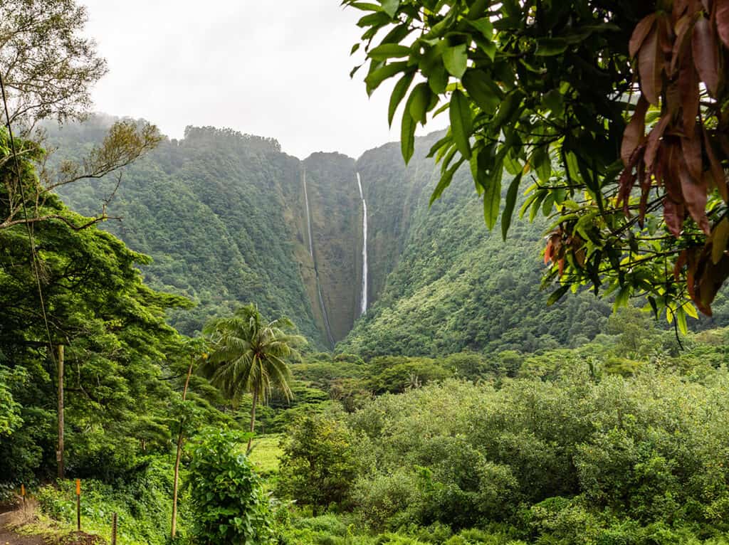 best big island waterfalls in hawaii with view of hiilawe falls