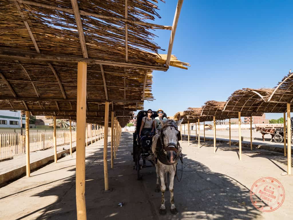 horse carriage ride to temple of edfu