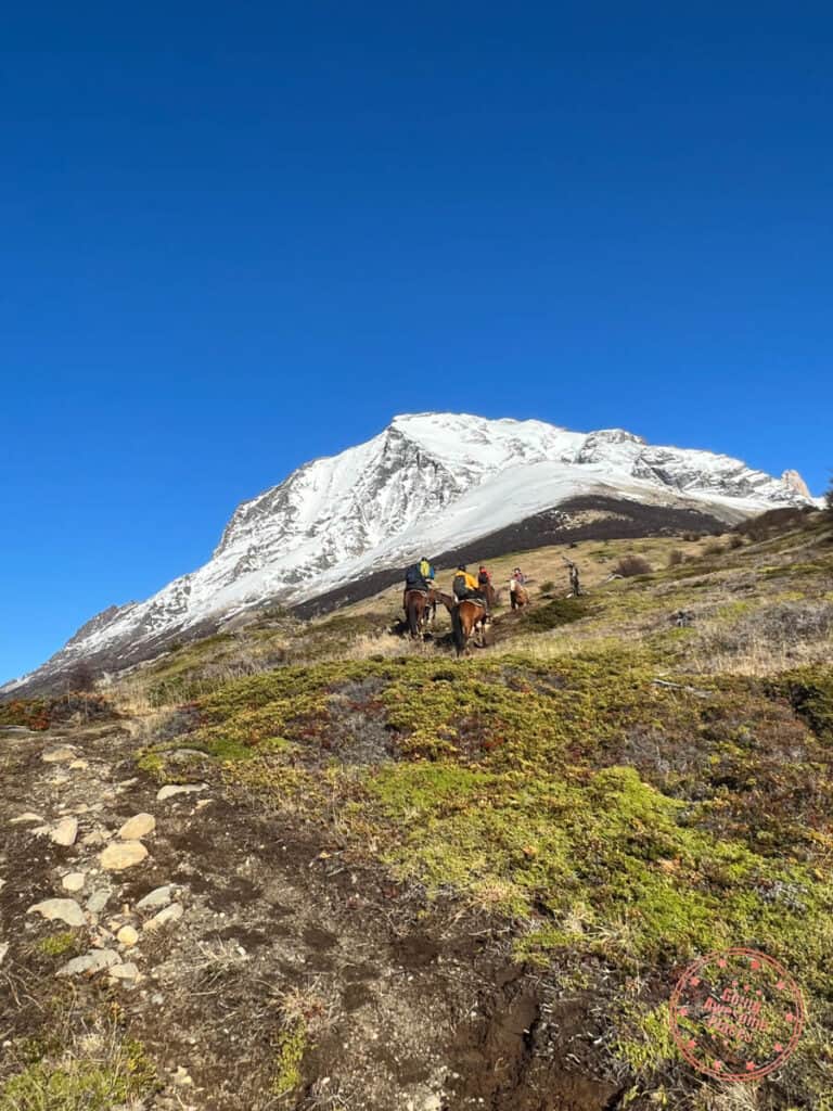 horseback riding excursion to cerro paine