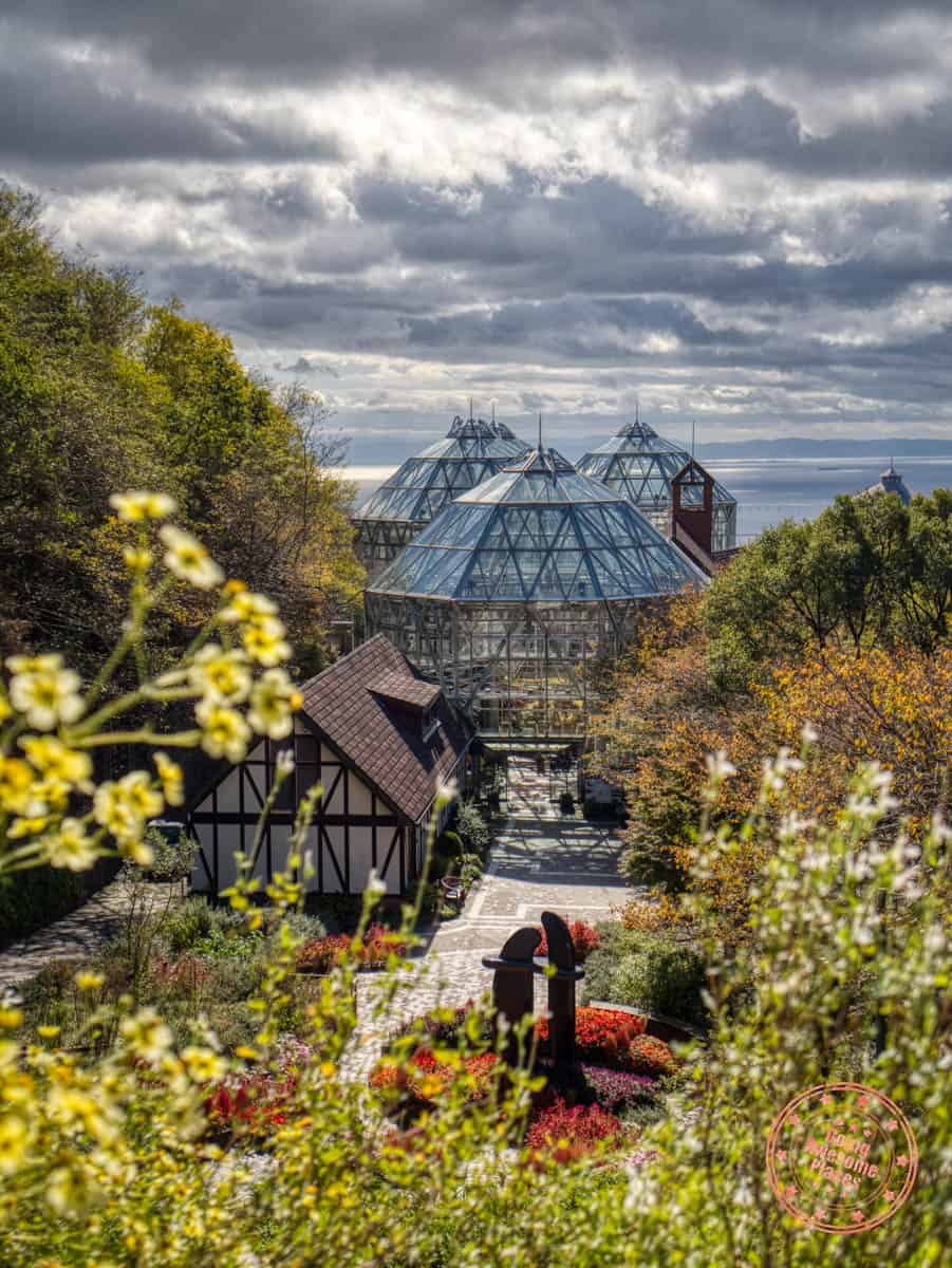 kobe nunobiki herb gardens glasshouse