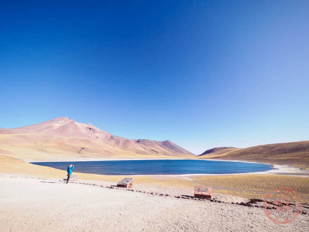 laguna minques of the altiplanic lakes of atacama