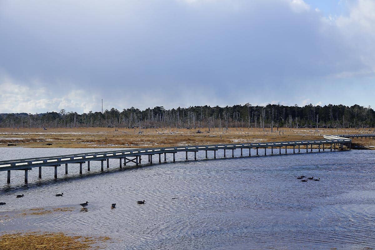 lake furen and shunkunitai elevated boardwalk
