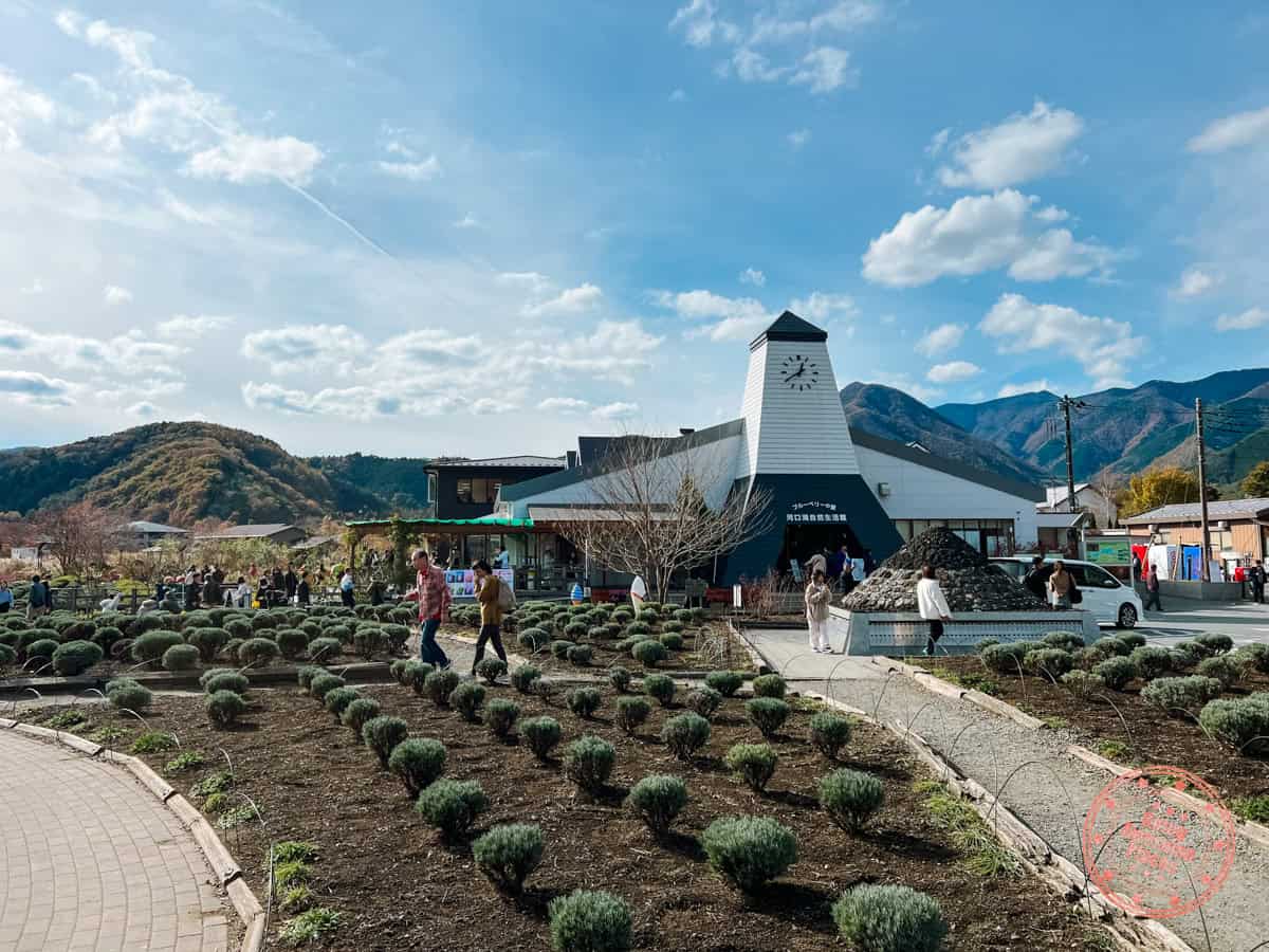 lake kawaguchiko oishi park visitor center