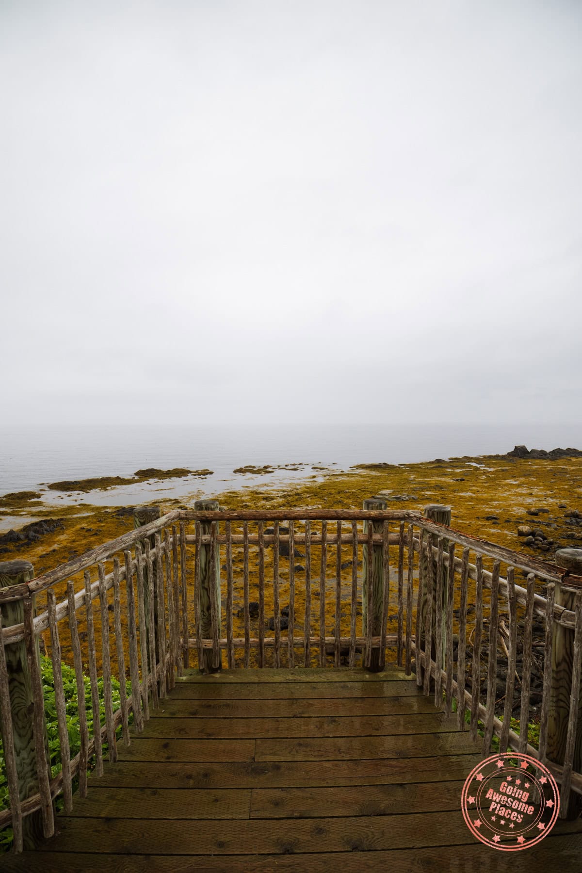lobster cove head lighthouse trail viewing platform