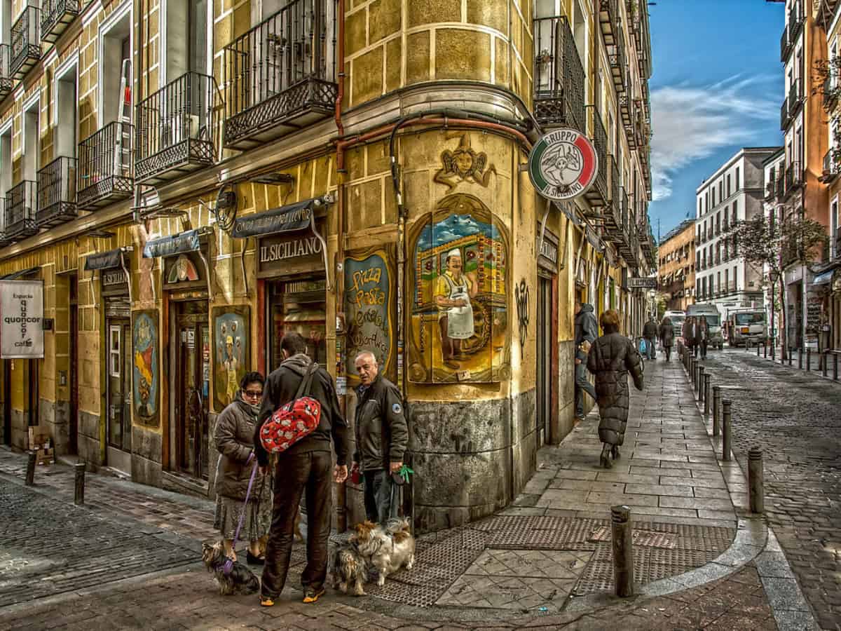 walking dogs down street in malasaña