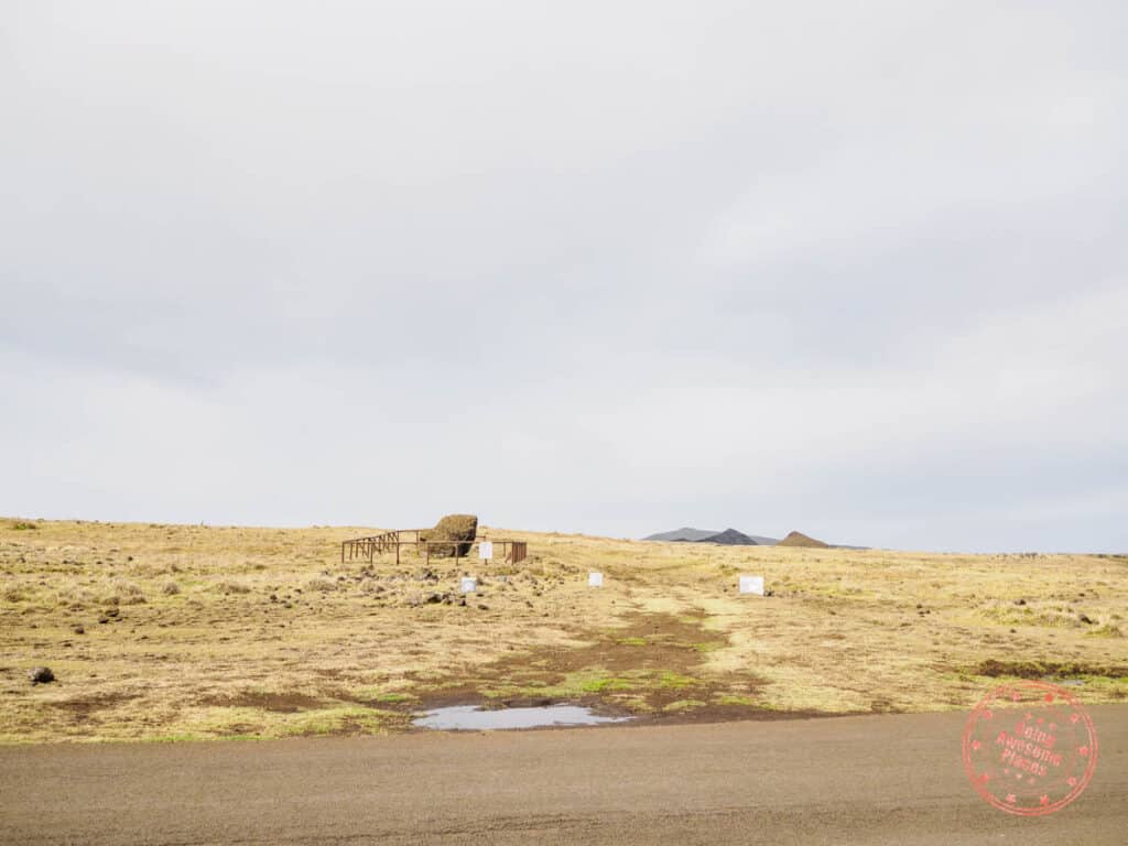 example of unmanaged site with moai on the side of the road