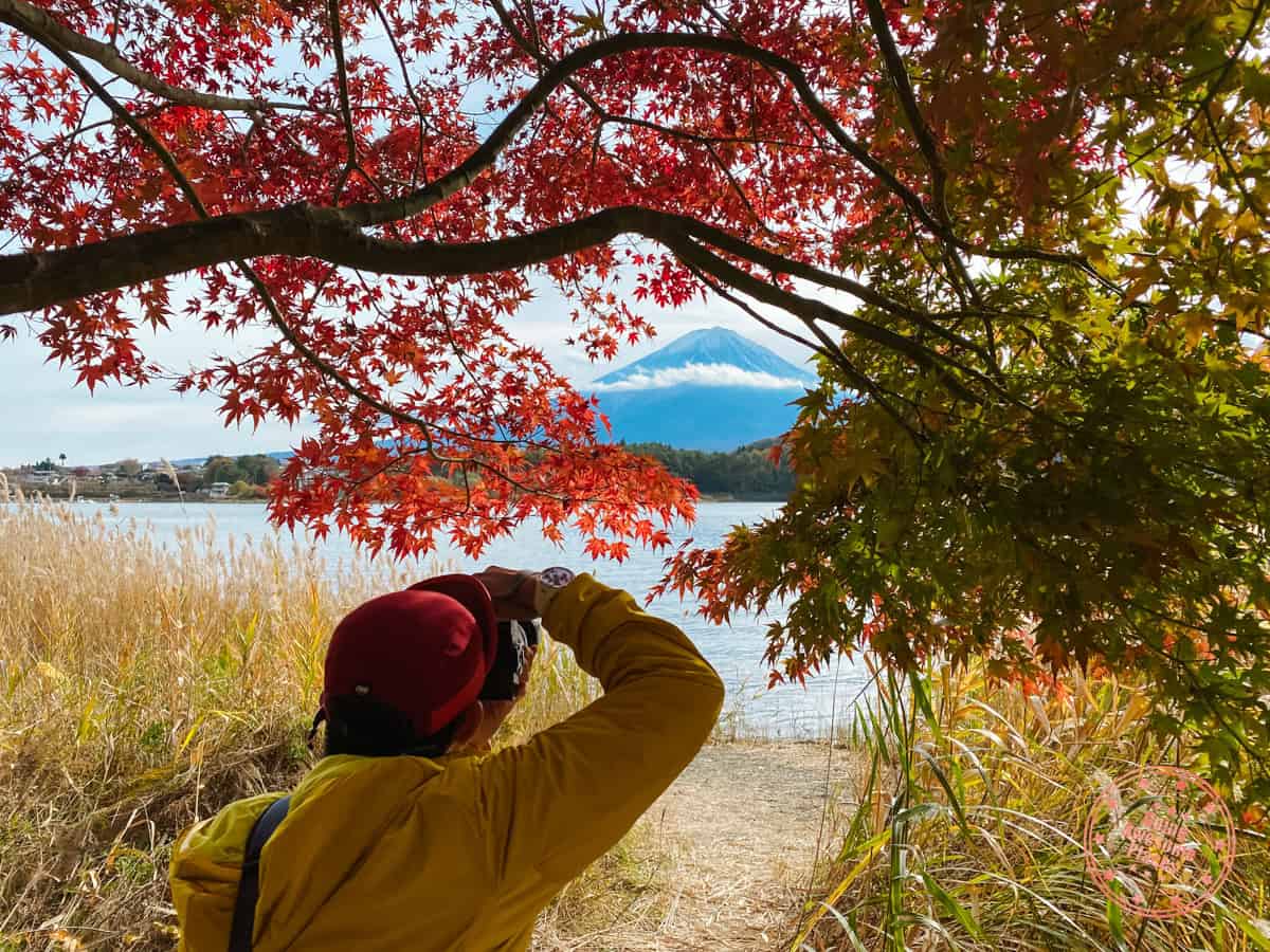 photographer taking photos with autumn leaves at momiji tunnel 