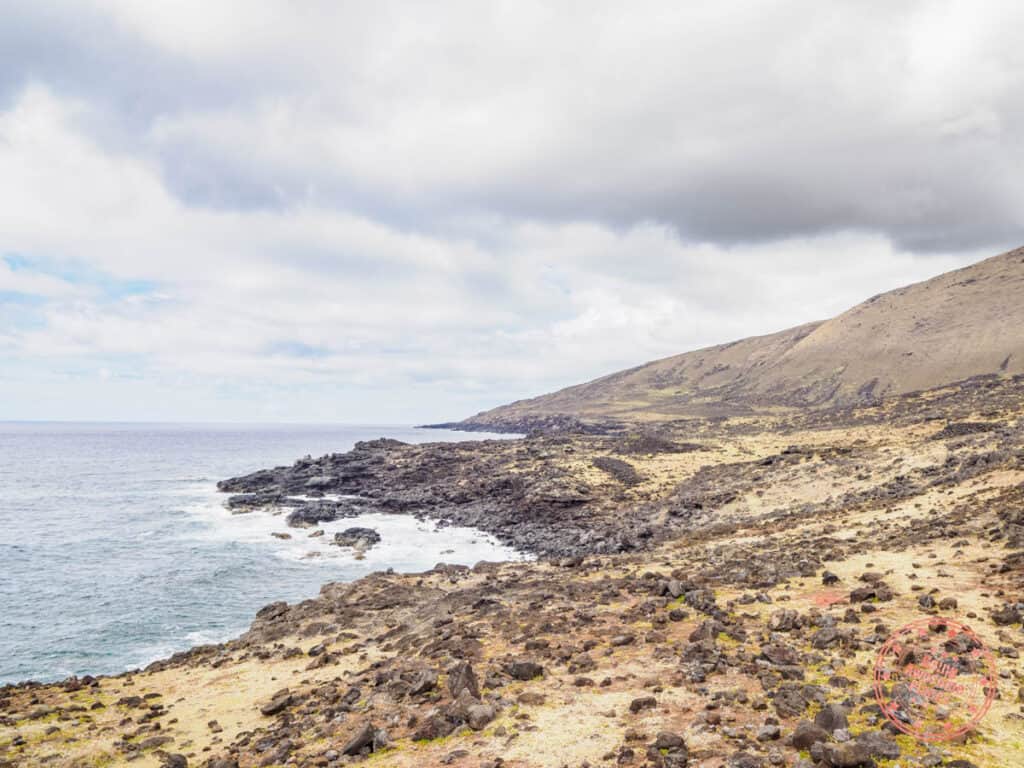 north coast hike with green island tours coastline view