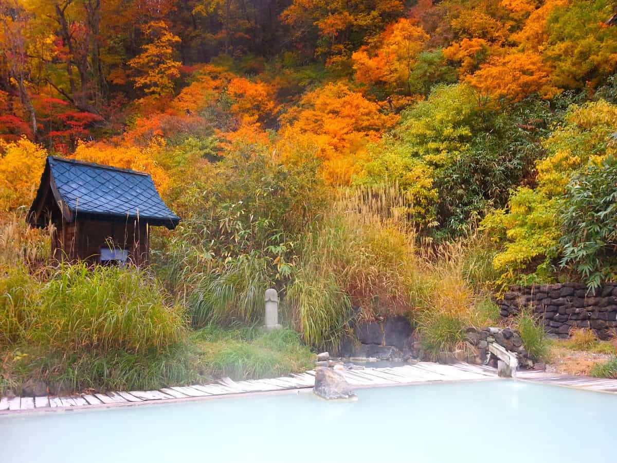 steamy nyuto onsen hidden within thick fall trees