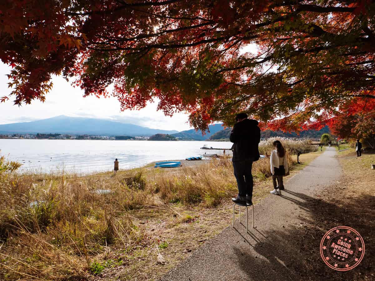 oishi park secret maple leaves photography location