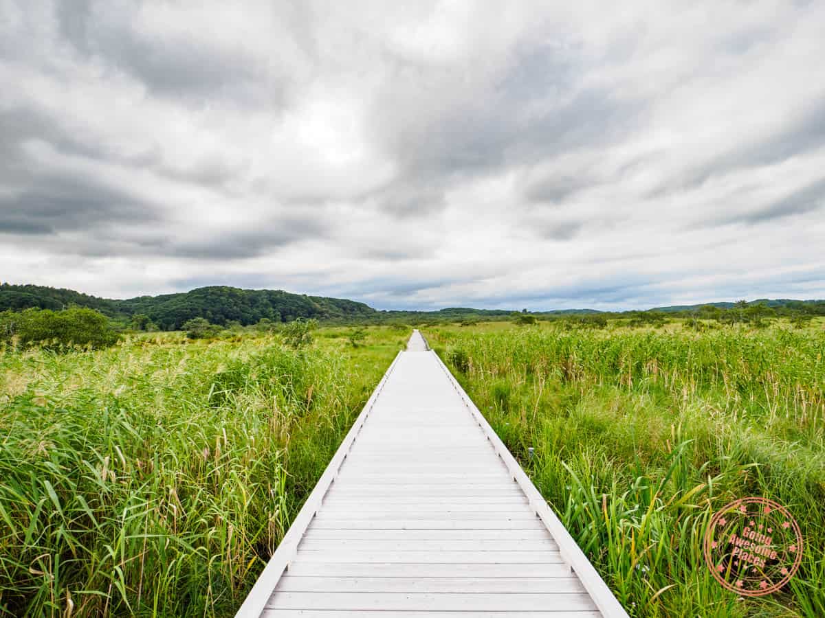 onnenai boardwalk in the kushiro wetland of far east hokkaido