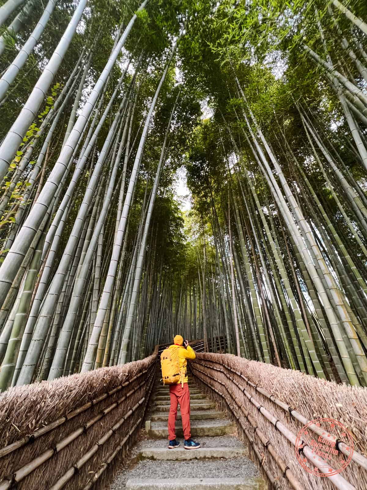 photographer posing at adashino nenbutsuji temple hidden bamboo forest