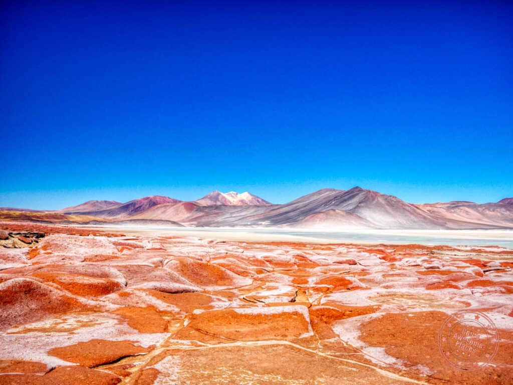 piedras rojas unique landscape