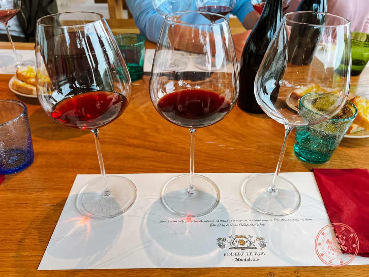 podere le ripi vineyard wine tasting experience