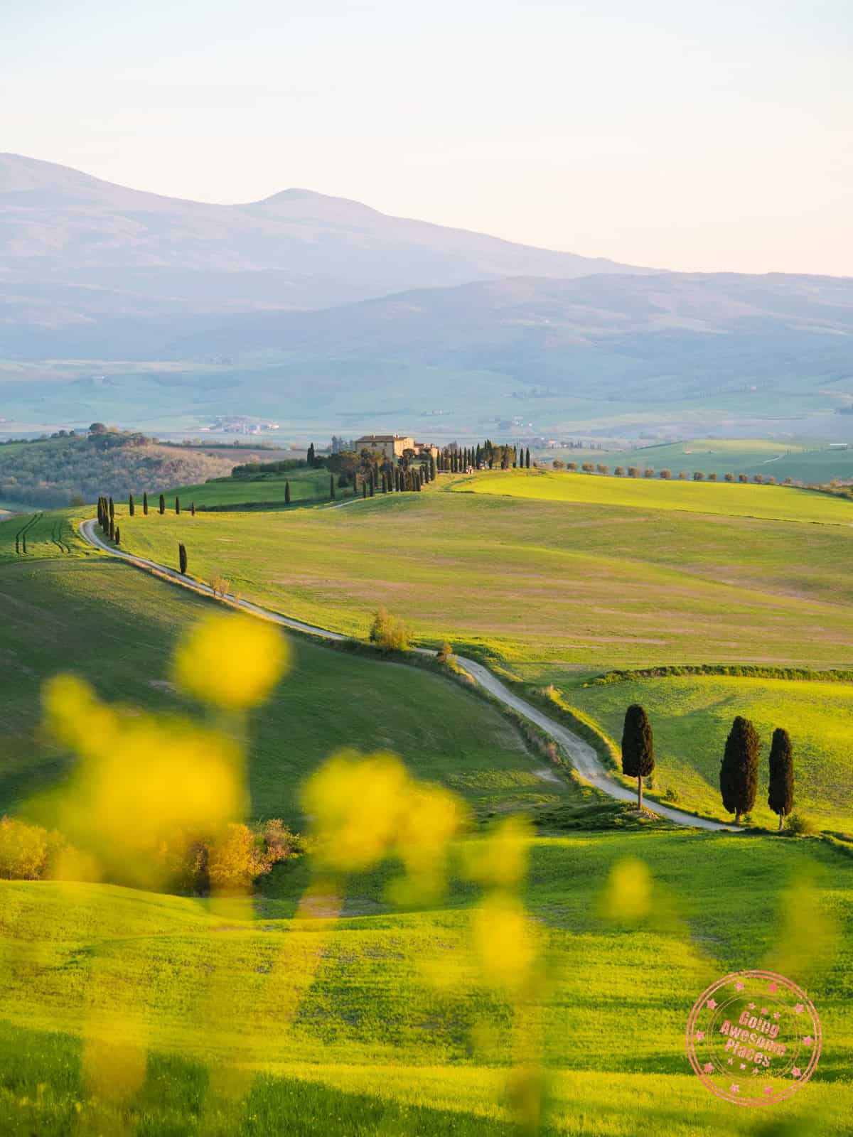 podere terrapille with mustard floewrs in the foreground