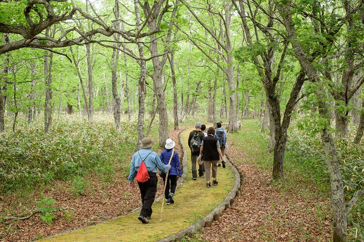 pogawa historical grassland nature walking
