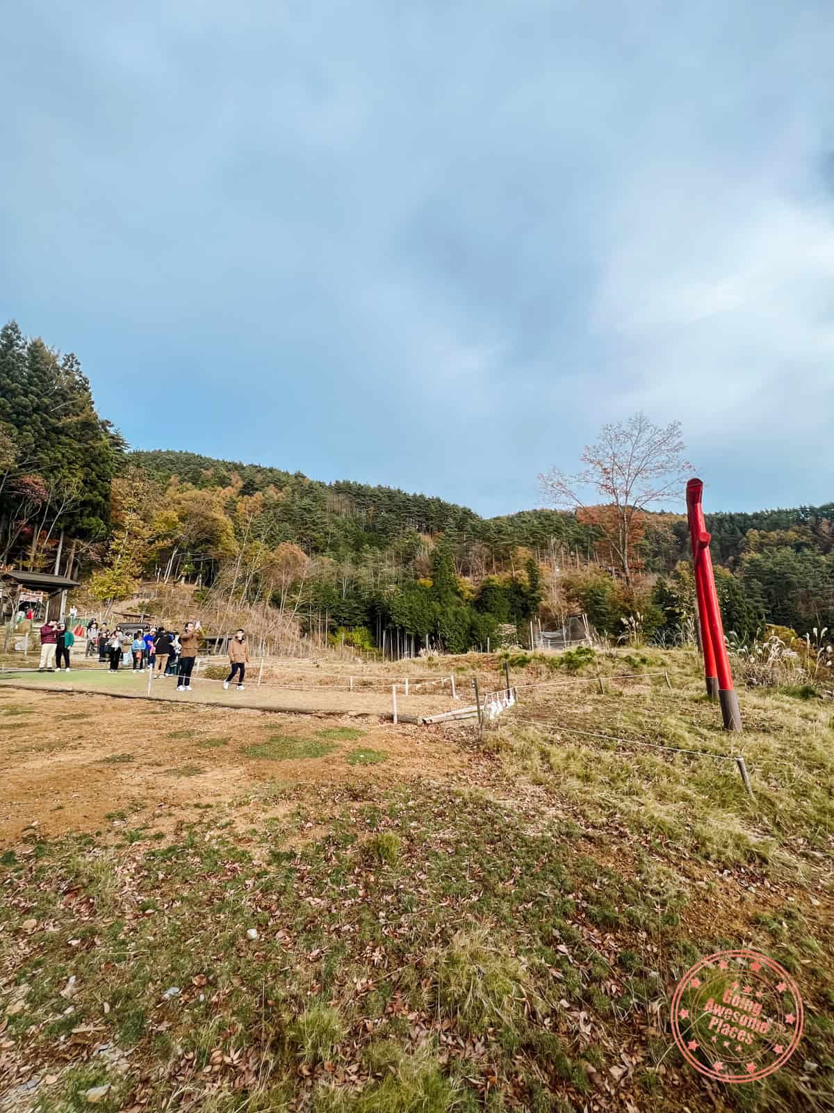 reality of taking photos at tenku no torii