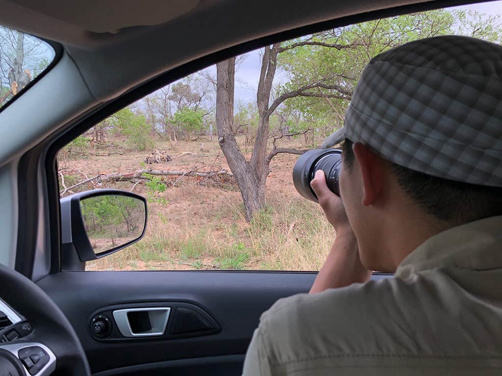 how to plan a safari to south africa - taking zoom photo of wildlife while self drive in kruger national park