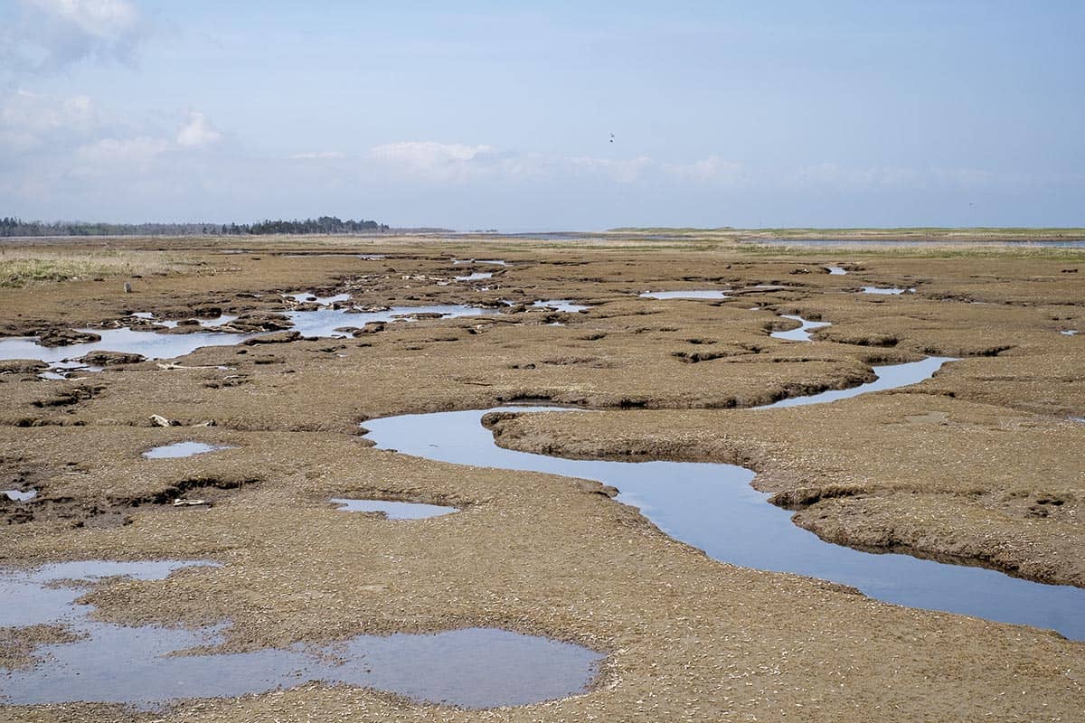 shunkunitai sandbar coastal landscape