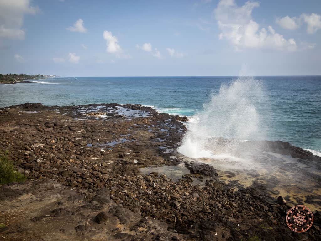things to do in kauai include spouting horn in the south shore