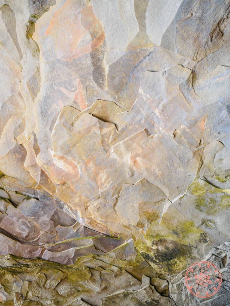stone cave paintings of sooty terns in the ana kai tangata cave