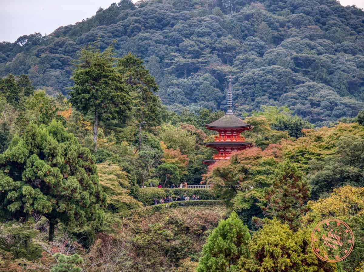 tall temple in the deep woods of kyoto