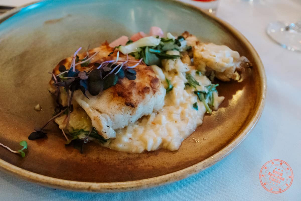 the black spruce newfoundland cod dish