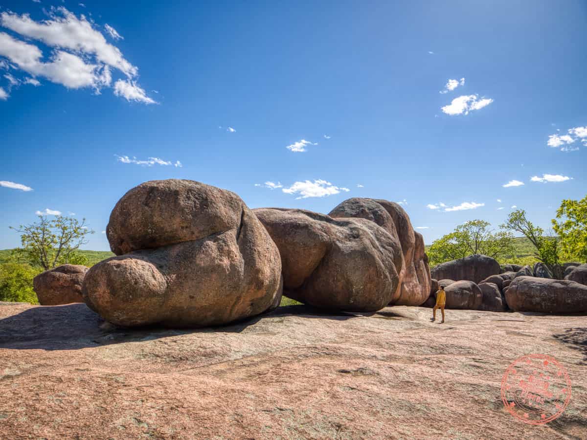 train of elephant rocks