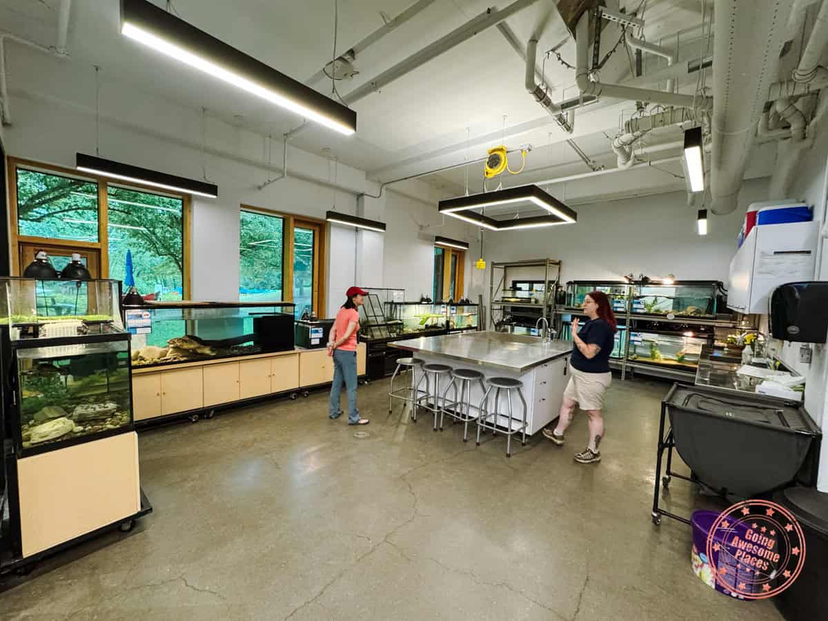 turtle rehabilitation centre at park de la mille iles in laval